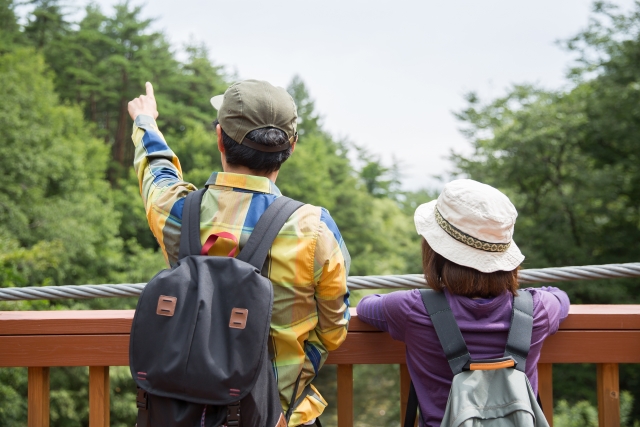 臼蓋形成不全:このような効果が期待できます